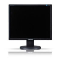 Samsung SyncMaster 743N (LS17MYAKBNA)